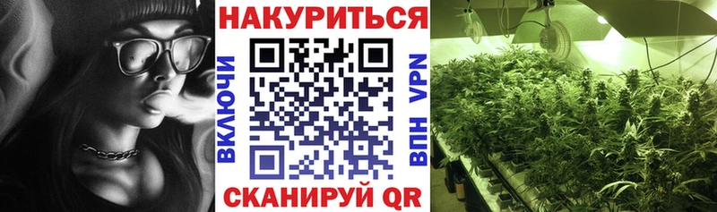 Шишки марихуана планчик  Заволжск 